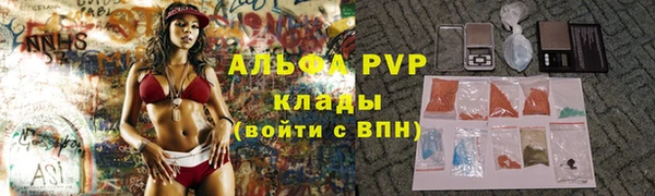 ПСИЛОЦИБИНОВЫЕ ГРИБЫ Белокуриха